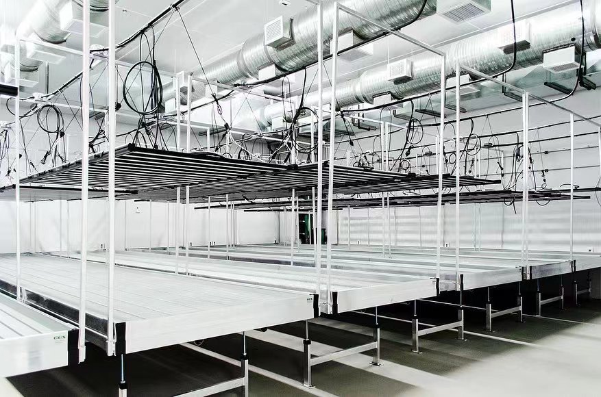 Proyecto HortiBloom - Luces LED Mega Optic en acción